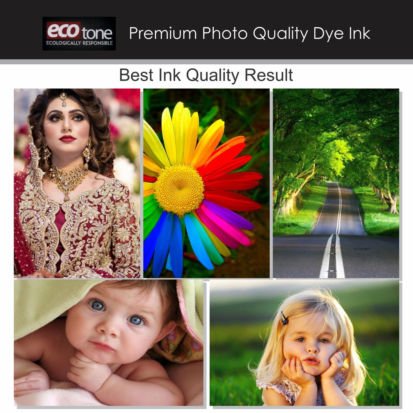 EcoTone 6-Color Dye Ink Pack – 100ml Each (CMYK + Light Cyan + Light Magenta)