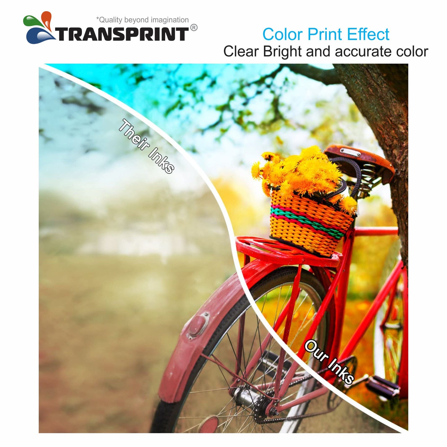 Transprint 6-Color Dye Ink Pack – 100ml Each (CMYK + Light Cyan + Light Magenta)
